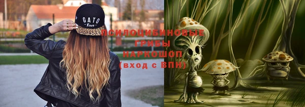 дурь Армянск