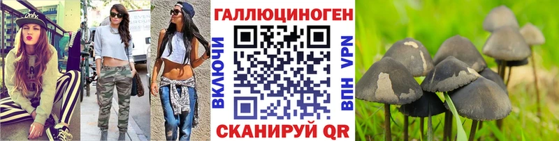 Галлюциногенные грибы Psilocybine cubensis  Сухой Лог 